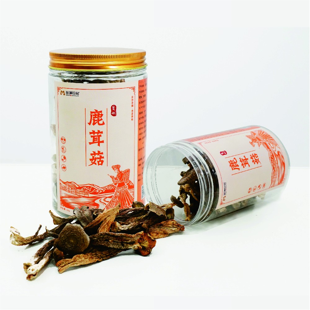 貴州·鹿茸菇