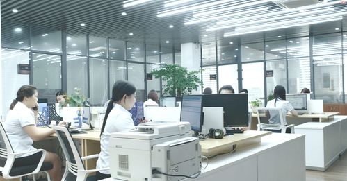 凍干餅干方便食品一站式代加工供求信息平臺與咨詢服務